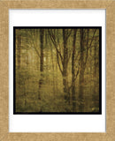 Fog in Mountain Trees No. 2 (Framed) -  John W. Golden - McGaw Graphics