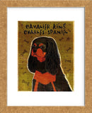 Cavalier King Charles (black and tan) (Framed) -  John W. Golden - McGaw Graphics