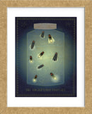 The Enlightened Fireflies (Framed) -  John W. Golden - McGaw Graphics