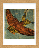 Bird Collage No. 1 (Framed) -  John W. Golden - McGaw Graphics
