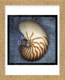 Nautilus (Framed) -  John W. Golden - McGaw Graphics