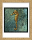 Seahorse (Framed) -  John W. Golden - McGaw Graphics