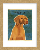 Vizsla (Framed) -  John W. Golden - McGaw Graphics