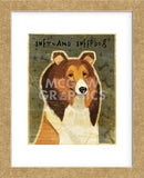 Shetland Sheepdog (Framed) -  John W. Golden - McGaw Graphics