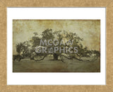 Sugarmill Oak, Louisiana (Framed) -  William Guion - McGaw Graphics