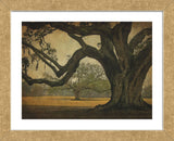 Two Oaks in Rain, Audubon Gardens (Framed) -  William Guion - McGaw Graphics