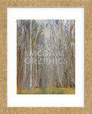 Birch Woods (Framed) -  Elissa Gore - McGaw Graphics