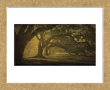 Oak Alley Morning Shadows (Framed) -  William Guion - McGaw Graphics