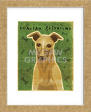 Italian Greyhound (Fawn) (Framed) -  John W. Golden - McGaw Graphics