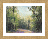 Path (Framed) -  Elissa Gore - McGaw Graphics