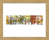 Autumn Lake II (Framed) -  Elissa Gore - McGaw Graphics