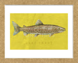 Lake Trout (Framed) -  John W. Golden - McGaw Graphics
