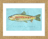 Rainbow Trout (Framed) -  John W. Golden - McGaw Graphics