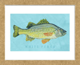 White Perch (Framed) -  John W. Golden - McGaw Graphics