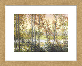 Autumn Shady (Framed) -  Elissa Gore - McGaw Graphics