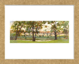 Mill Stream Willows (Framed) -  Elissa Gore - McGaw Graphics