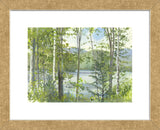 Summer Lake IV (Framed) -  Elissa Gore - McGaw Graphics