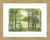 Summer Lake V (Framed) -  Elissa Gore - McGaw Graphics