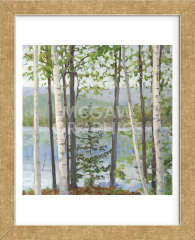 Cooper Lake I (Framed) -  Elissa Gore - McGaw Graphics