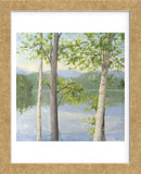 Cooper Lake II (Framed) -  Elissa Gore - McGaw Graphics