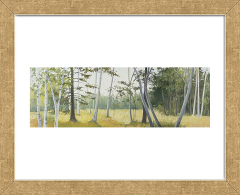 Birch Field (Framed) -  Elissa Gore - McGaw Graphics