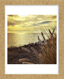 Oceanscape PCH (Framed) -  Gizara - McGaw Graphics