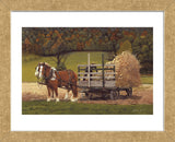 Amish Harvest  (Framed) -  Kathleen Green - McGaw Graphics