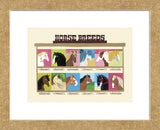 Horse Breeds  (Framed) -  Janell Genovese - McGaw Graphics