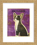 Chihuahua (black and white) (Framed) -  John W. Golden - McGaw Graphics