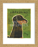 Dachshund (black and tan)  (Framed) -  John W. Golden - McGaw Graphics