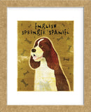 English Springer Spaniel  (Framed) -  John W. Golden - McGaw Graphics