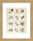 Surrey Garden Fragments  (Framed) -  Annabel Hewitt - McGaw Graphics