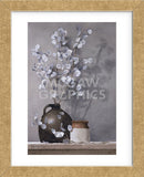 Silver Dollars (Framed) -  Ray Hendershot - McGaw Graphics