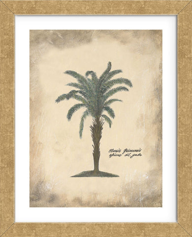 African Oil Palm (Framed) -  Annabel Hewitt - McGaw Graphics