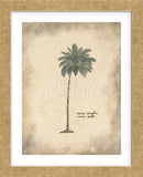 Cocoa Palm  (Framed) -  Annabel Hewitt - McGaw Graphics