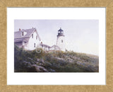 Gulls at Pemaquid  (Framed) -  Ray Hendershot - McGaw Graphics