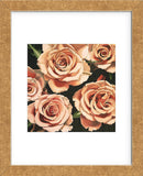 Roses  (Framed) -  Elizabeth Hellman - McGaw Graphics