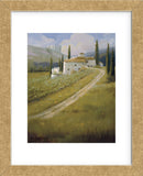 Tuscany Vineyard  (Framed) -  Carolyne Hawley - McGaw Graphics