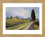 Holiday in Tuscany  (Framed) -  Carolyne Hawley - McGaw Graphics