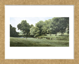 Grazing (Framed) -  Ray Hendershot - McGaw Graphics