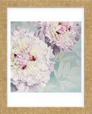 Peony on Blue  (Framed) -  Elizabeth Hellman - McGaw Graphics