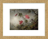 Passion Flowers and Hummingbirds, about 1870-83 (Framed) -  Martin Johnson Heade - McGaw Graphics