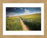 Summer Path (Framed) -  Michael Hudson - McGaw Graphics