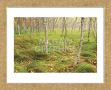 Tall Grasses (Framed) -  Michael Hudson - McGaw Graphics