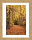 Autumn Path (Framed) -  Michael Hudson - McGaw Graphics