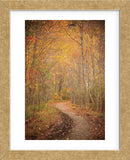 Winding Autumn Path (Framed) -  Michael Hudson - McGaw Graphics