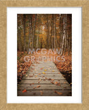 Woodland Path (Framed) -  Michael Hudson - McGaw Graphics