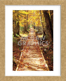 Boardwalk (Framed) -  Michael Hudson - McGaw Graphics