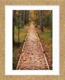 Straight Path (Framed) -  Michael Hudson - McGaw Graphics