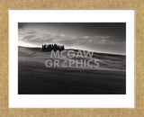 Cypresses and Rolling Hills (Framed) -  Michael Hudson - McGaw Graphics